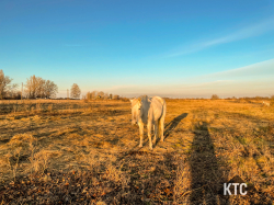 2025-01-24 Burgendland Extrem Tour BEXT - IMG_5049